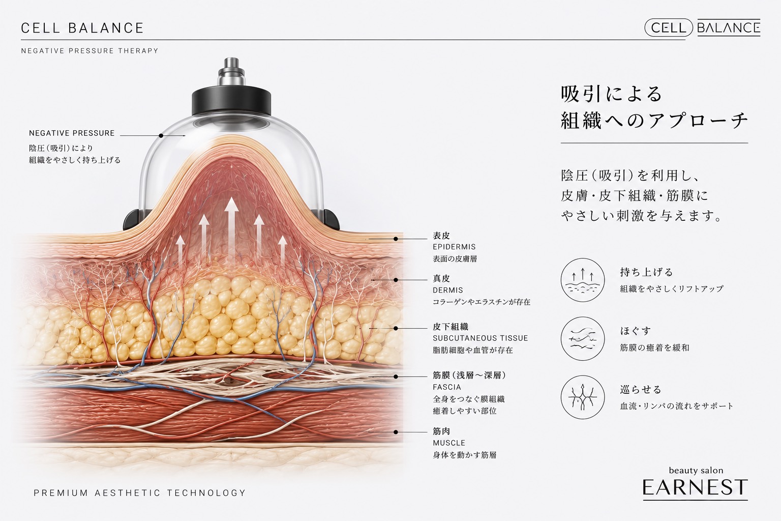 セルバランス（CELL BALANCE）本体